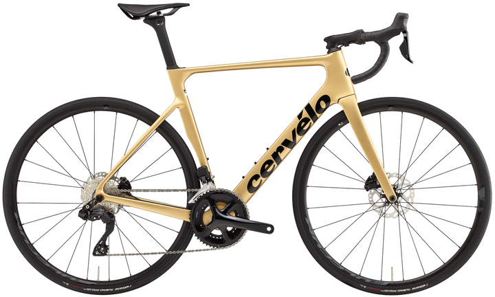 Soloist 105 Di2 (2024)