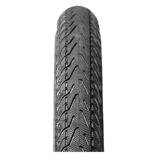 Panaracer Pasela Protite Tire