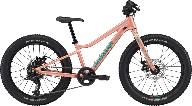 Cannondale Trail Plus