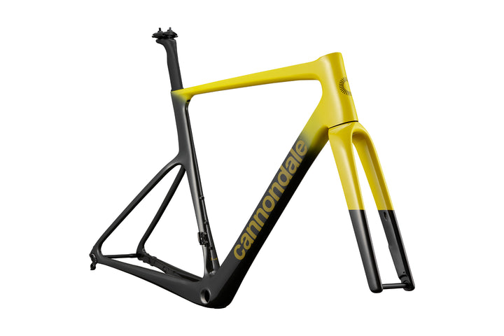 SuperSix Evo Hi-Mod Frame