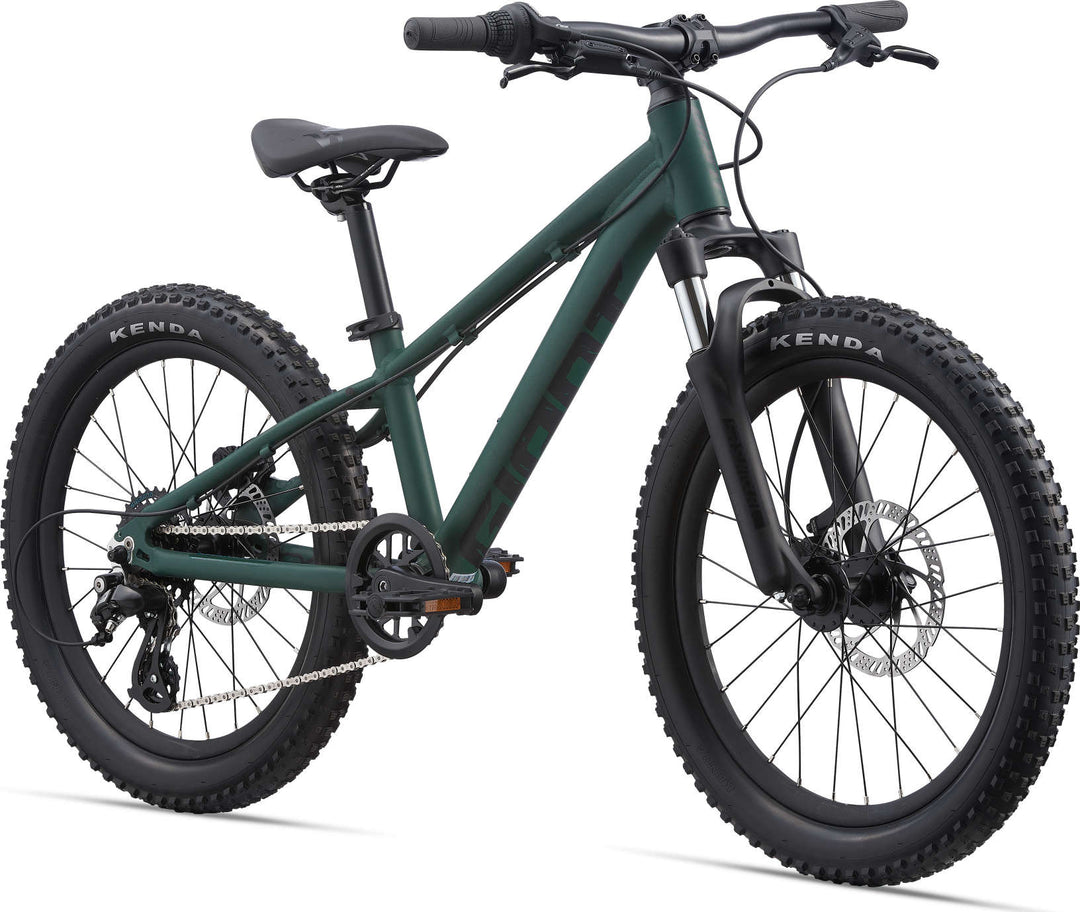 Giant STP 20 FS (2024) – Mike's Bikes - Main Image