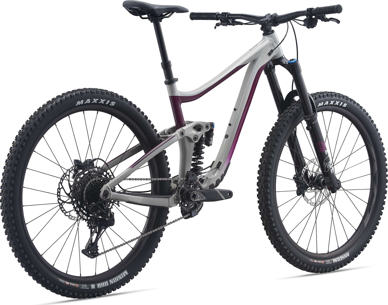 Giant Reign 29 SX 2021 Mike s Bikes