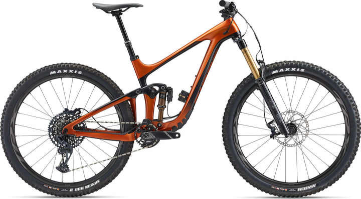 Reign Advanced Pro 29 1