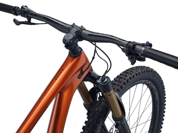 Reign Advanced Pro 29 1