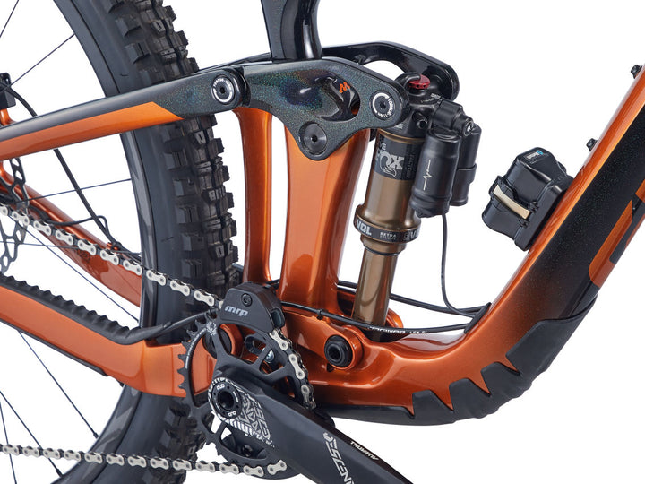 Reign Advanced Pro 29 1