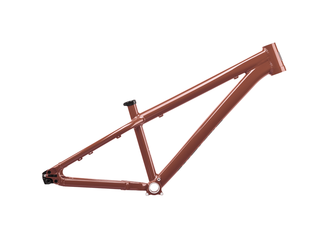 Santa Cruz Jackal Frame – Mike's Bikes
