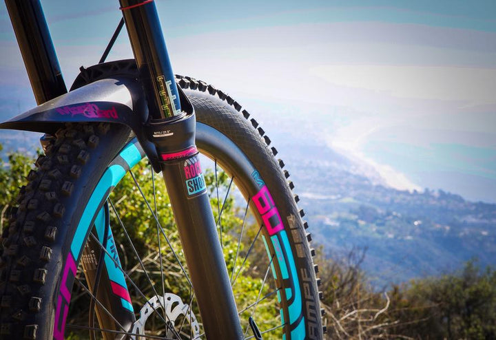 Honeycomb Fork Guard