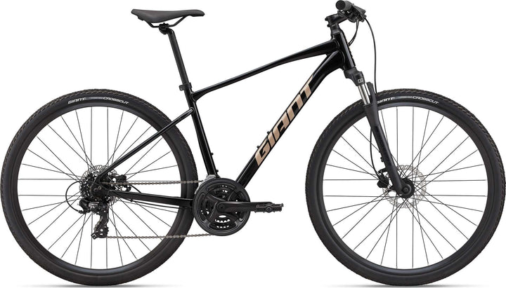 Roam 4 Disc