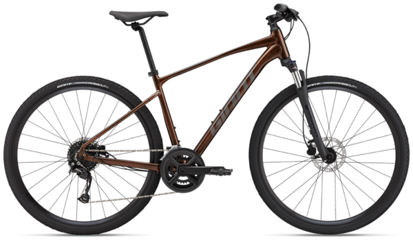 Giant Roam 2 Disc Mike s Bikes