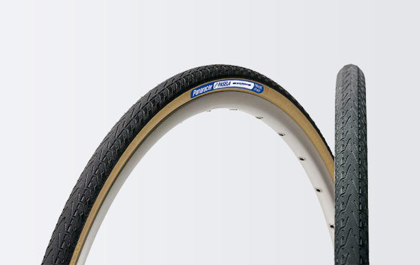 Panaracer Pasela Protite Tire