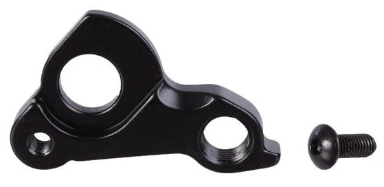 Eccentric Derailleur Hanger